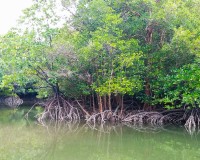 James Bond Island and Seacave canoeing Image 2