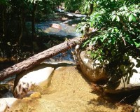 The grey giants Elephant bathing and Waterfall Image 3