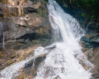 Khao lak Nature Image 6