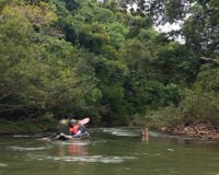 Khao sok Safari Image 2