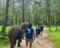 Khao sok Safari Image 1