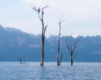Cheow Lan Lake 2 days 1 night Image 1